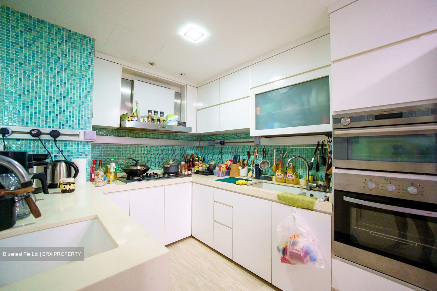 Central Green Condominium (D3), Condominium #618190301